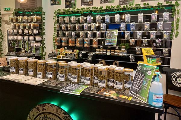 Interior of a cannabis specialty shop